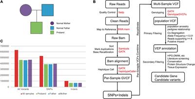 The novel compound heterozygous rare variants may impact positively selected regions of TUBGCP6, a microcephaly associated gene